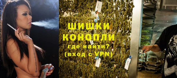 первитин Инсар