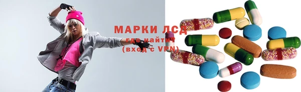 ГАЛЛЮЦИНОГЕННЫЕ ГРИБЫ Инта