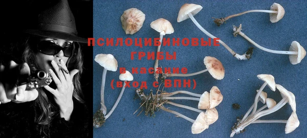 a pvp Зеленокумск
