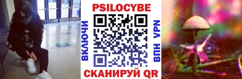 Псилоцибиновые грибы Psilocybe  Купить  Бузулук 